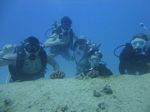 Hawaii Scuba divng 52