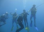 Hawaii Scuba divng 53