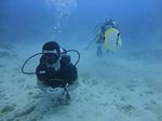 Hawaii Scuba divng 10