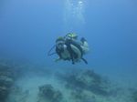 Hawaii Scuba divng 13