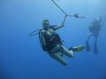 Hawaii Scuba divng 17