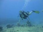 Hawaii Scuba divng 22