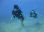 Hawaii Scuba divng 23