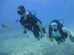 Hawaii Scuba divng 24