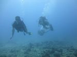 Hawaii Scuba divng 25