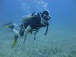 Hawaii Scuba divng 26