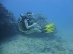 Hawaii Scuba divng 29