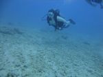 Hawaii Scuba divng 33