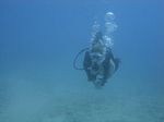 Hawaii Scuba divng 34