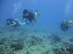 Hawaii Scuba divng 35