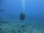 Hawaii Scuba divng 38