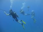 Hawaii Scuba divng 39