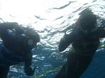 Hawaii Scuba divng 42