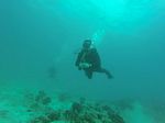 Hawaii Scuba divng 10