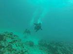 Hawaii Scuba divng 11