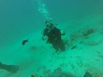 Hawaii Scuba divng 12