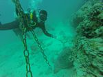 Hawaii Scuba divng 15