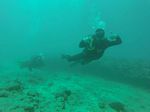 Hawaii Scuba divng 19