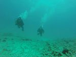 Hawaii Scuba divng 01