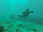 Hawaii Scuba divng 20