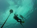 Hawaii Scuba divng 26