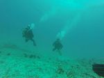 Hawaii Scuba divng 02