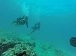 Hawaii Scuba divng 39