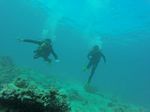 Hawaii Scuba divng 41