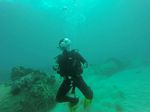 Hawaii Scuba divng 44