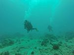 Hawaii Scuba divng 46