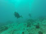 Hawaii Scuba divng 47