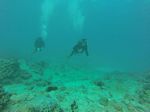 Hawaii Scuba divng 48