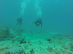 Hawaii Scuba divng 49