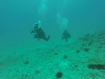 Hawaii Scuba divng 04