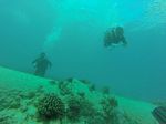 Hawaii Scuba divng 54