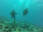 Hawaii Scuba divng 56