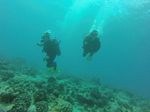 Hawaii Scuba divng 56