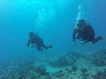 Hawaii Scuba divng 57