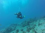 Hawaii Scuba divng 58