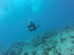 Hawaii Scuba divng 59