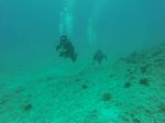 Hawaii Scuba divng 05