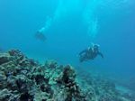Hawaii Scuba divng 60