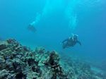 Hawaii Scuba divng 60