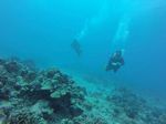 Hawaii Scuba divng 61