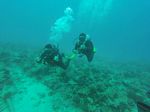 Hawaii Scuba divng 64