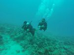 Hawaii Scuba divng 65