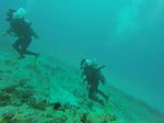 Hawaii Scuba divng 66