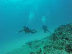 Hawaii Scuba divng 67