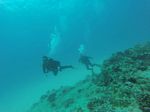 Hawaii Scuba divng 68