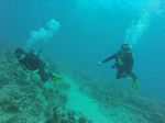 Hawaii Scuba divng 69